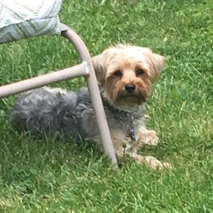 Meet your Posher, Amanda